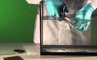 Резка каленого стекла в домашних условиях видео