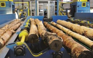 Переработка древесины: виды, технологии, способы
