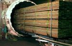 Огнебиозащита древесины: принцип работы, как правильно выбрать