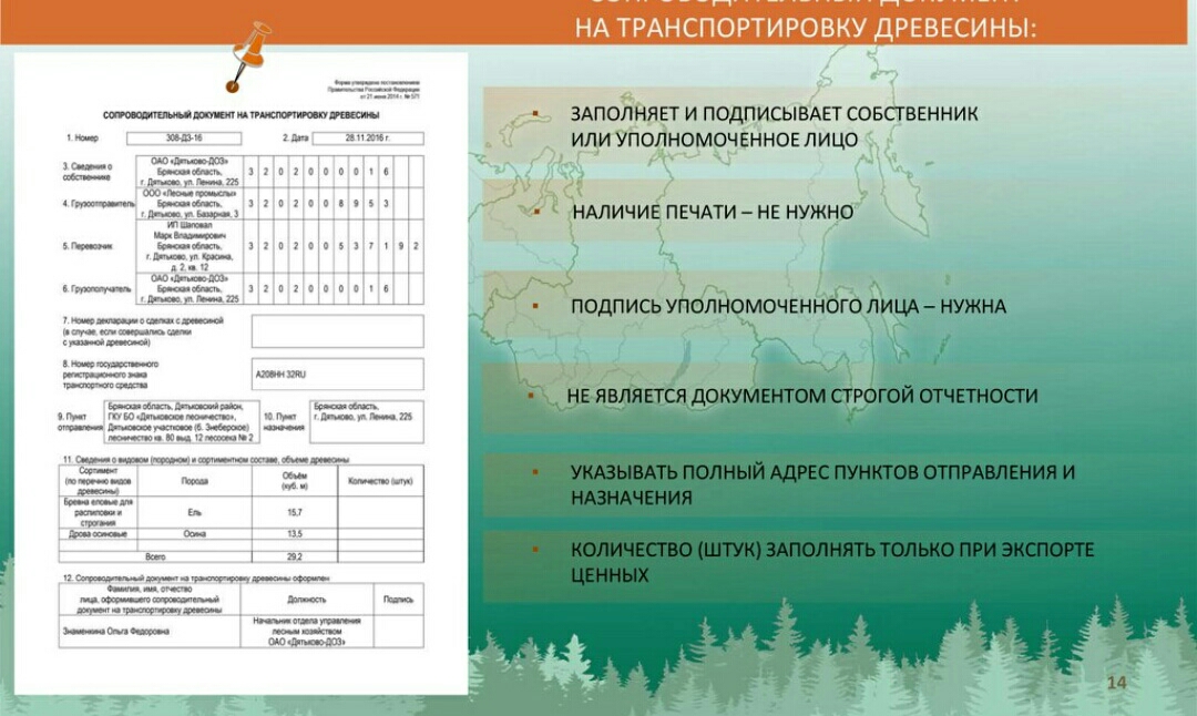 Пошаговая регистрация в лес ЕГАИС – как зарегистрировать договор, ИП и юр. лицо