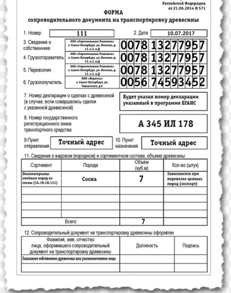 Пошаговая регистрация в лес ЕГАИС – как зарегистрировать договор, ИП и юр. лицо