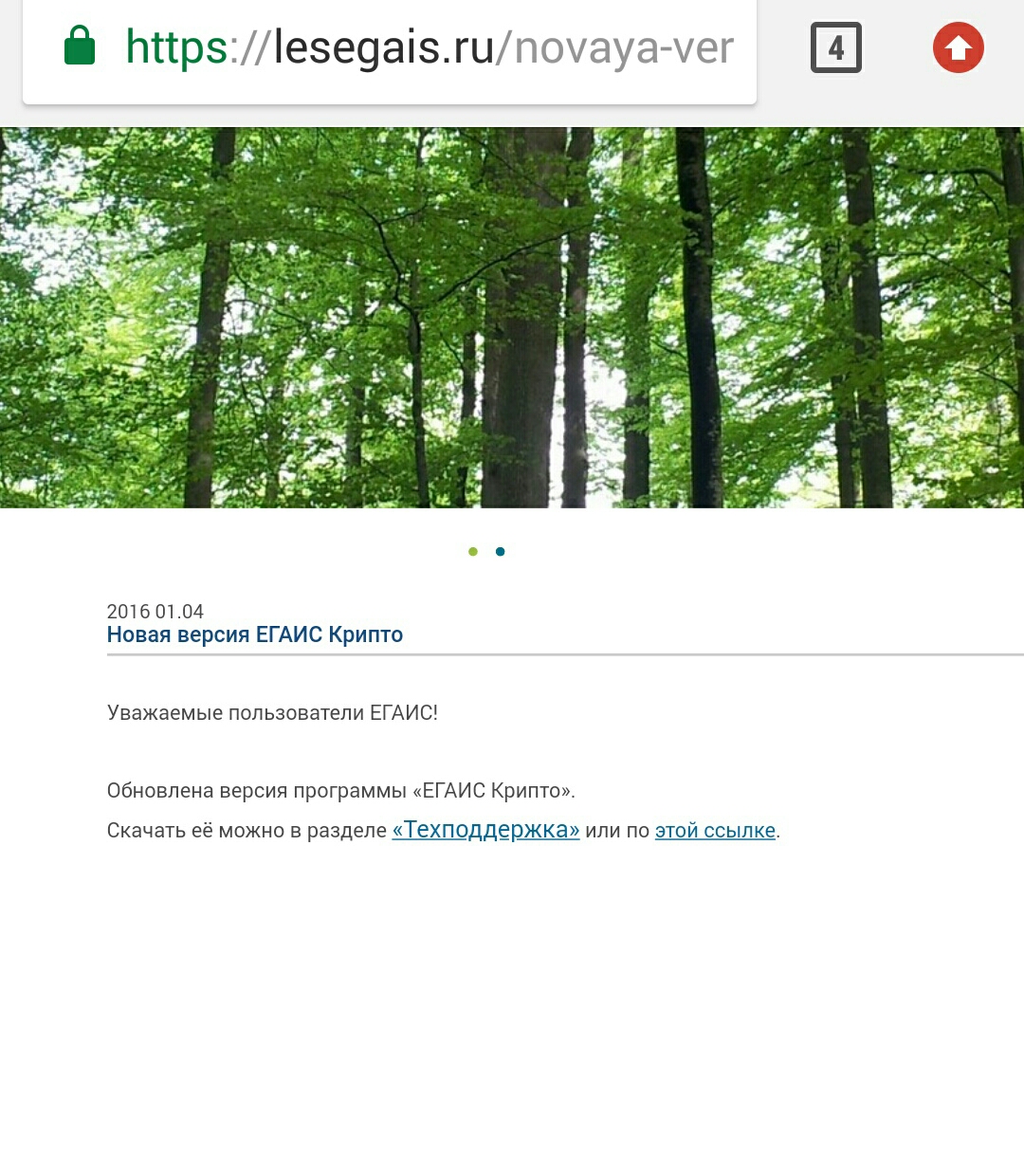 Не работает ЕГАИС лес - бесплатная служба поддержки в системе