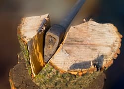 Перечень основных свойств древесины, их определения и виды