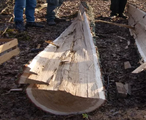 Пороки древесины: виды, ГОСТ, влияние на качество