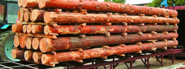 Вакуумная сушка древесины: технология, оборудование, недостатки