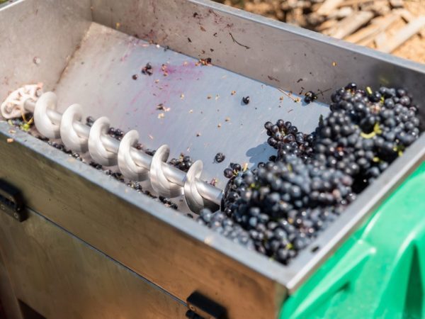 Дробилка для винограда: виды, выбор, изготовление своими руками