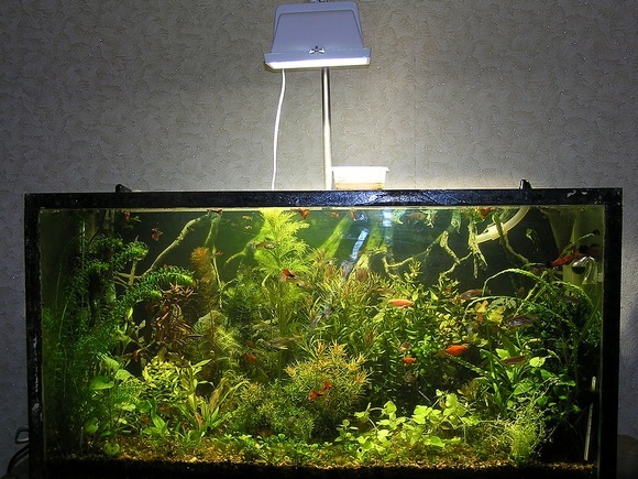 Расчет света для аквариума
