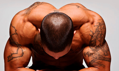 Мышцы спины. Увеличивать ли силу?