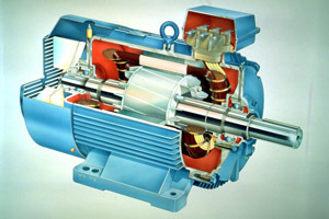 Устройство асинхронного электродвигателя с короткозамкнутым ротором