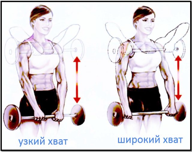 Подъем штанги к подбородку какие мышцы работают